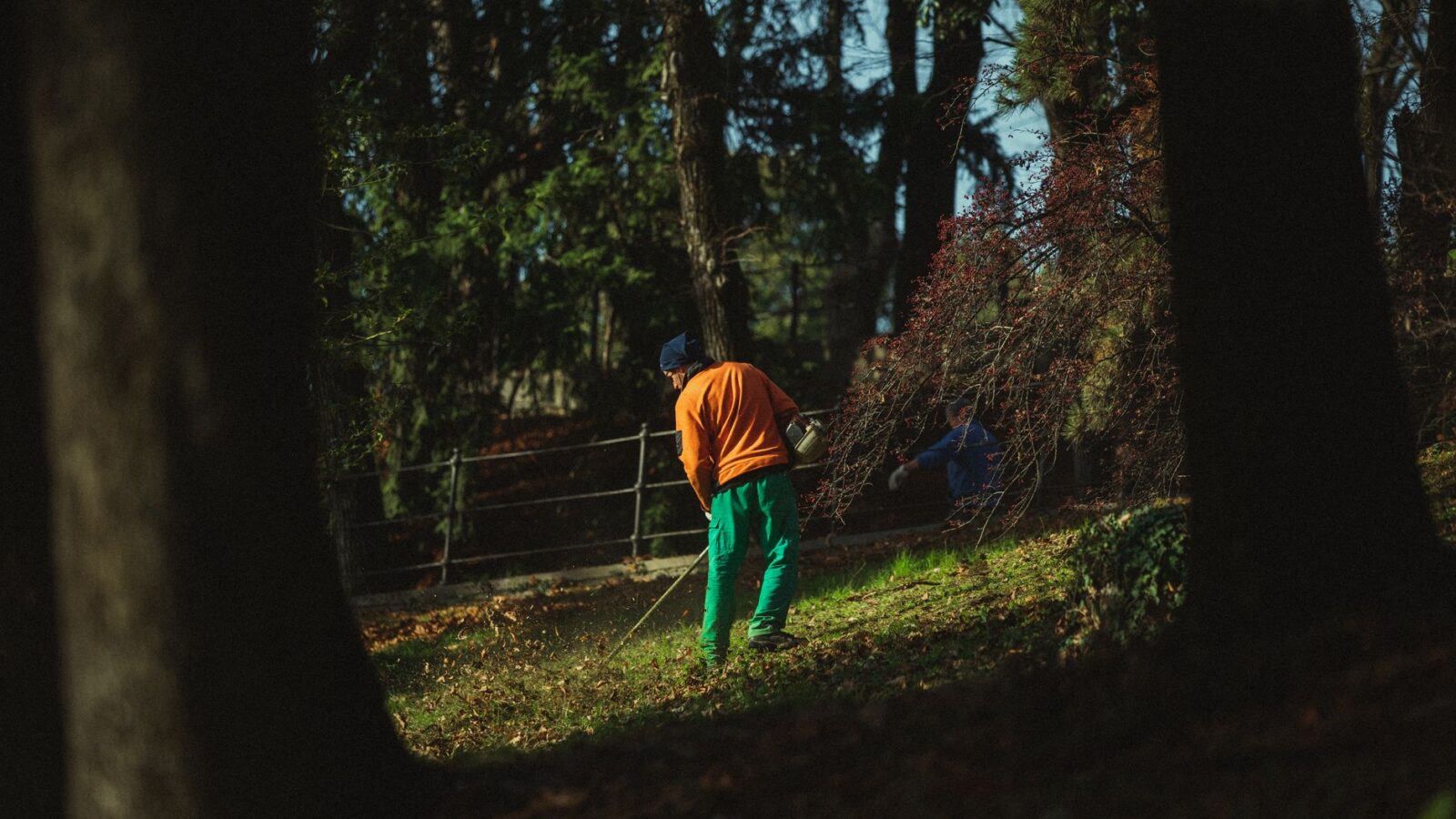 Hands raking a pile of dry autumn leaves into a wire compost bin in a garden