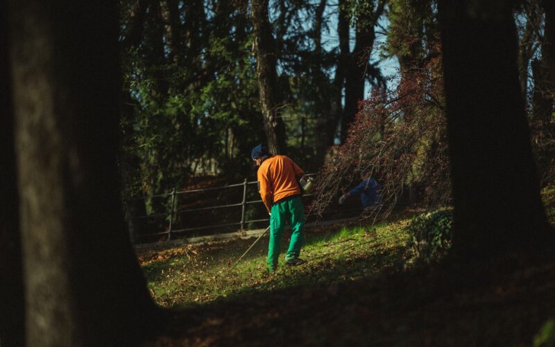 Autumn Leaves: The Free Compost Ingredient Most Households Waste