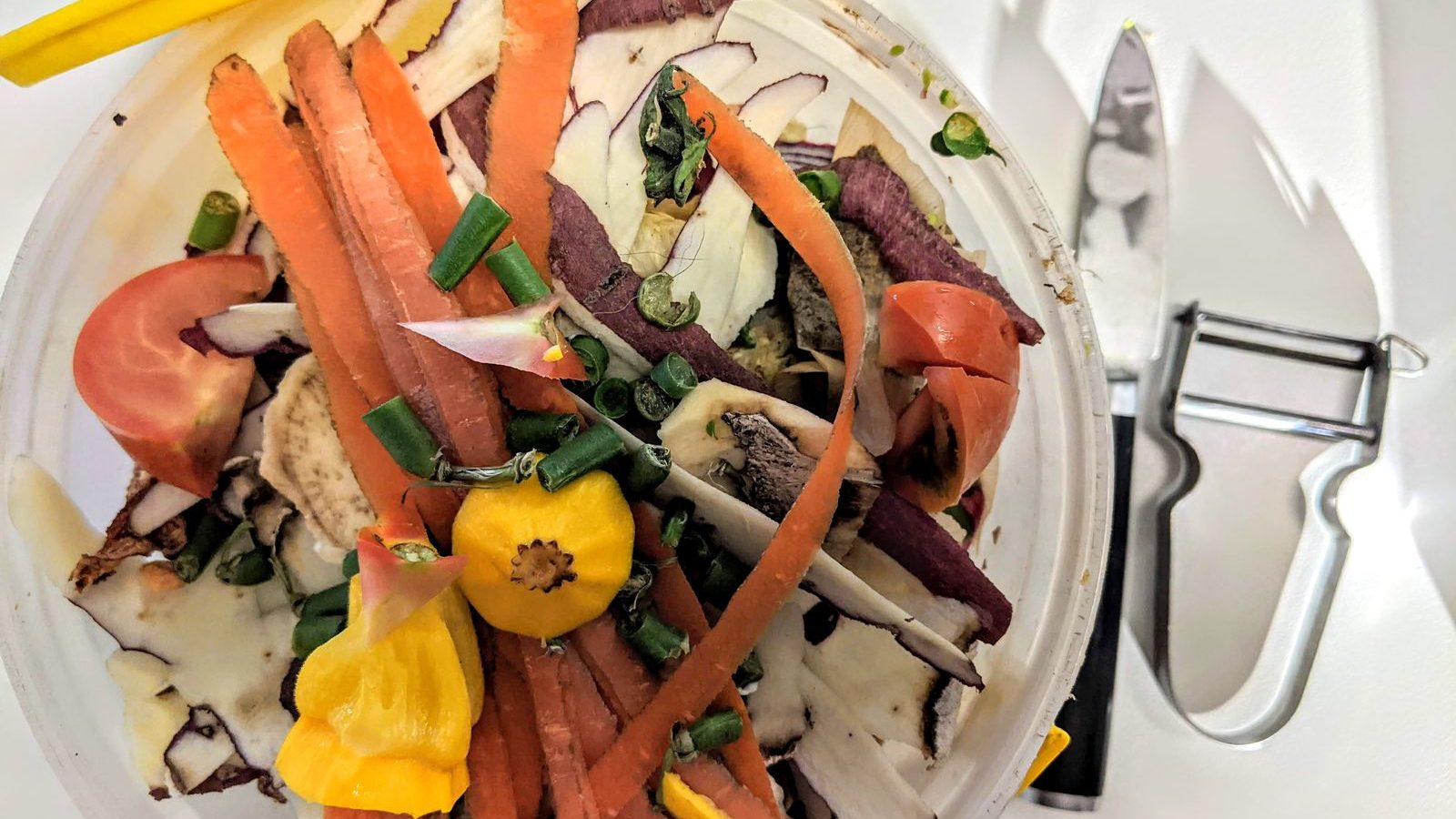 The Honest Truth About Compostable Plastic in Your Kitchen Bin