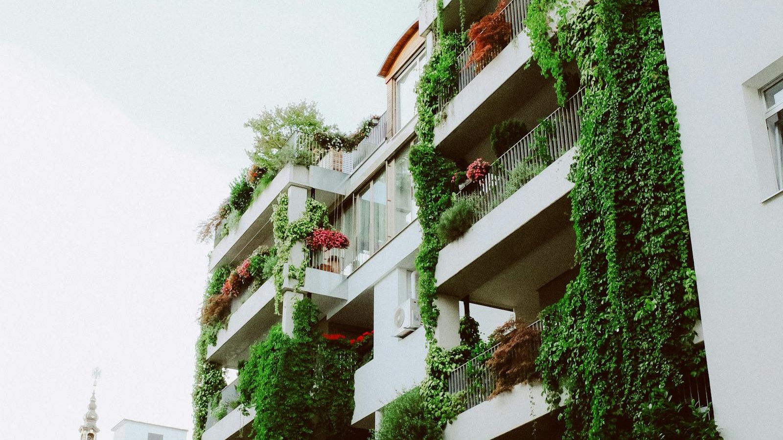 Why Your Eco Habits Should Be Boring