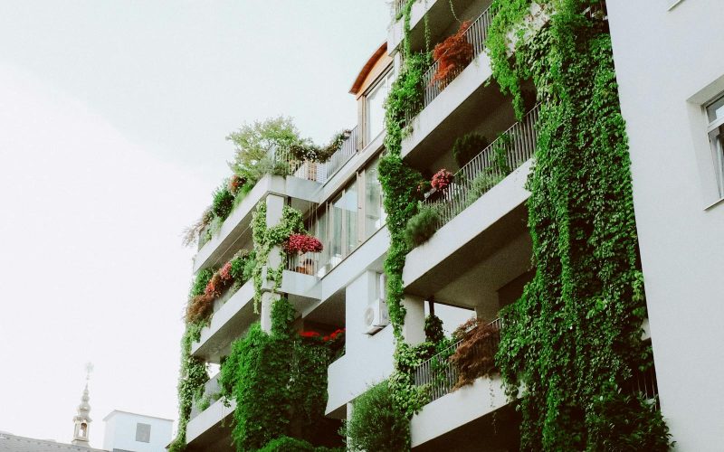Why Your Eco Habits Should Be Boring