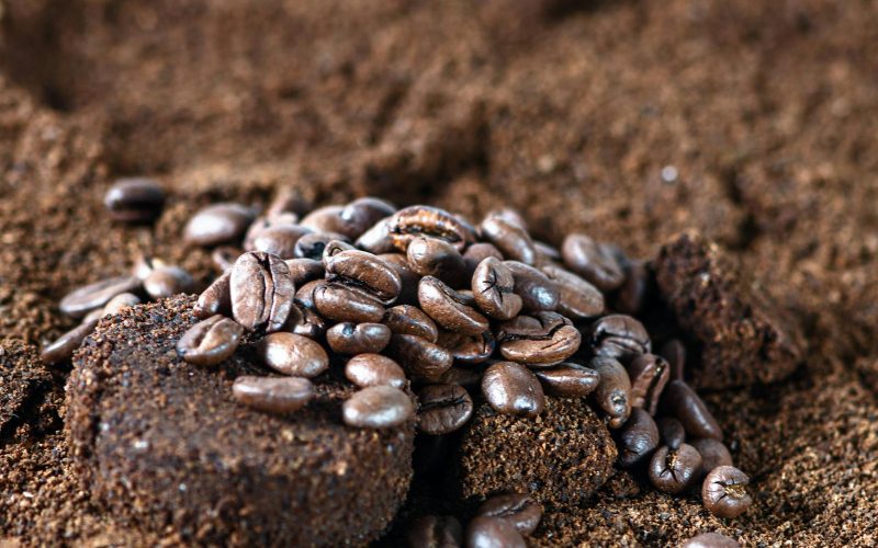Coffee Grounds, Eggshells, and Tea Bags: The Truth About Composting