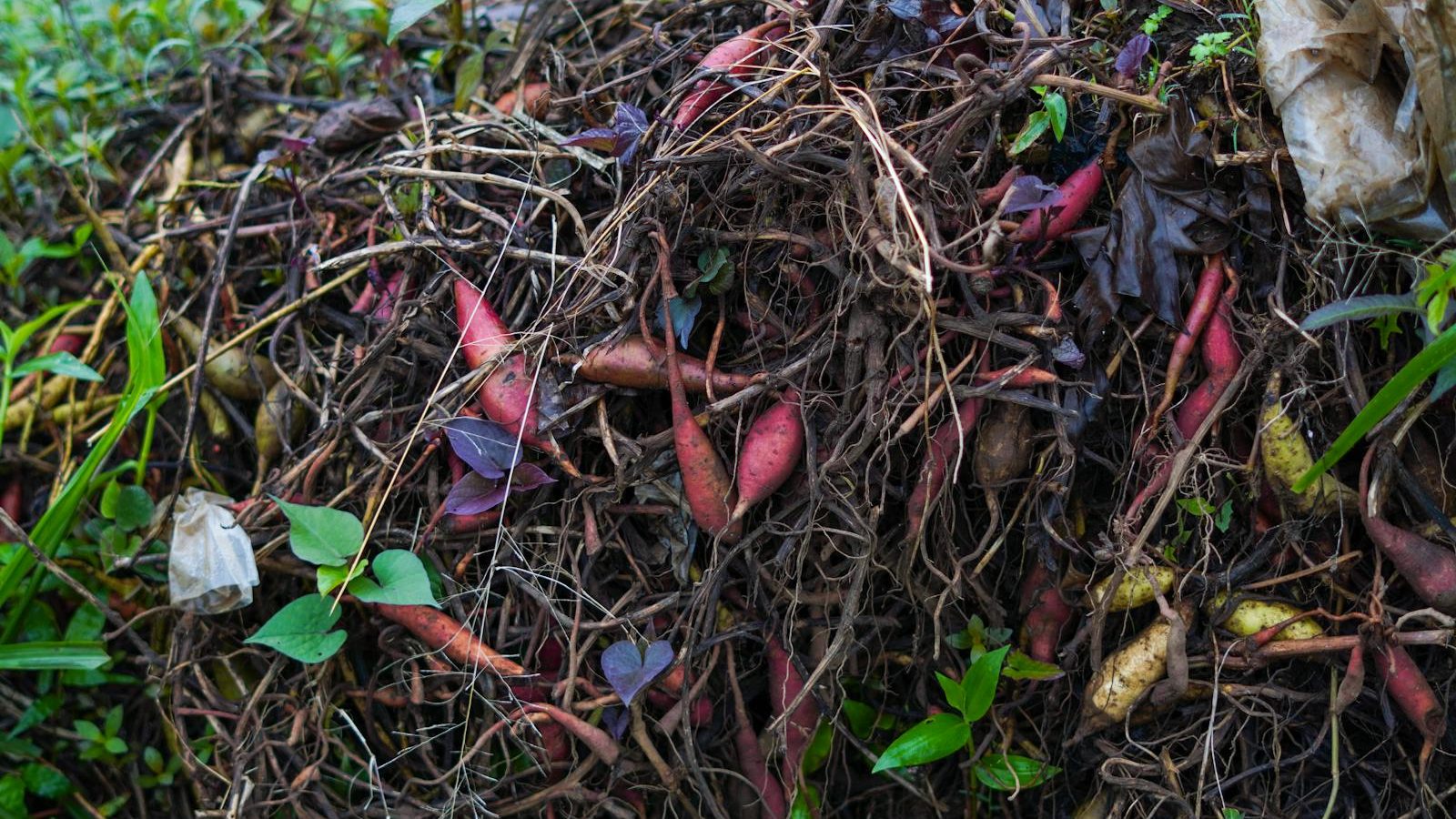 Building a Simple Compost Bin From Pallets