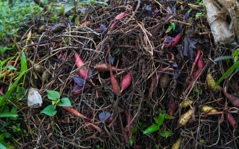 Building a Simple Compost Bin From Pallets