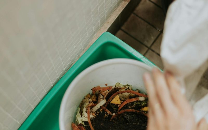 Apartment Composting: Three Methods That Work in Small Spaces