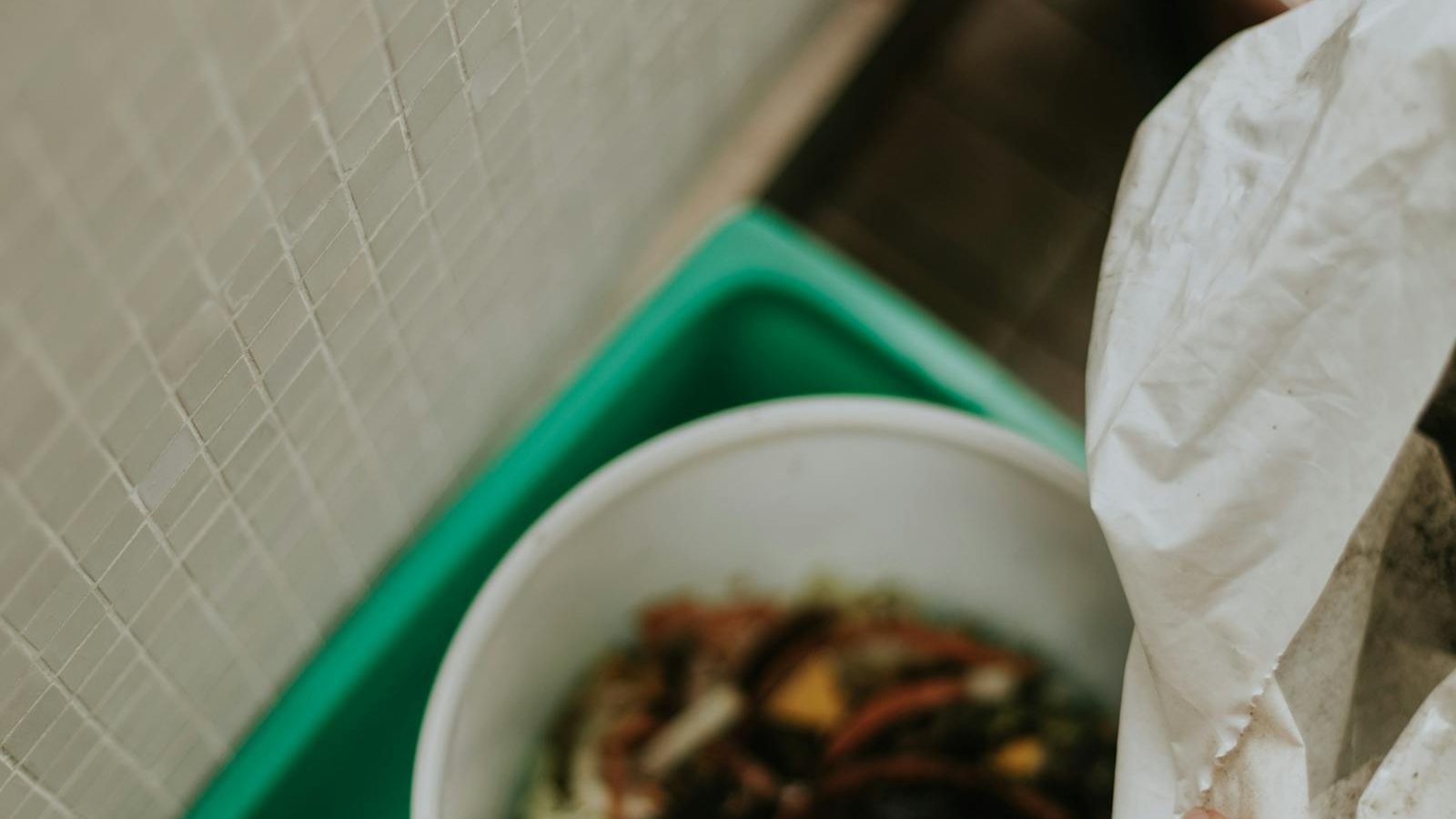 Worm Bins for Beginners: A Quiet Guide