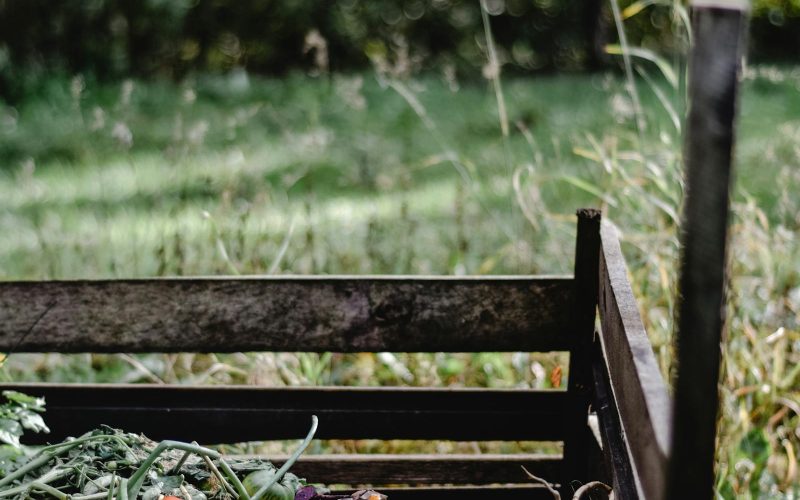 Three Small-Kitchen Composting Setups That Actually Work