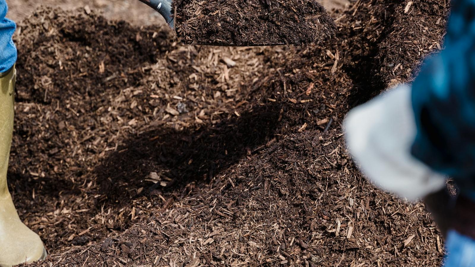 What Can and Can’t Go in a Backyard Compost