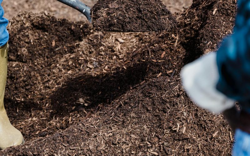 What Can and Can’t Go in a Backyard Compost