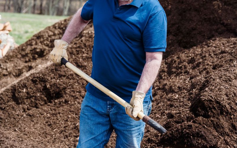 Hot vs. Cold Composting: Which One Should You Choose?