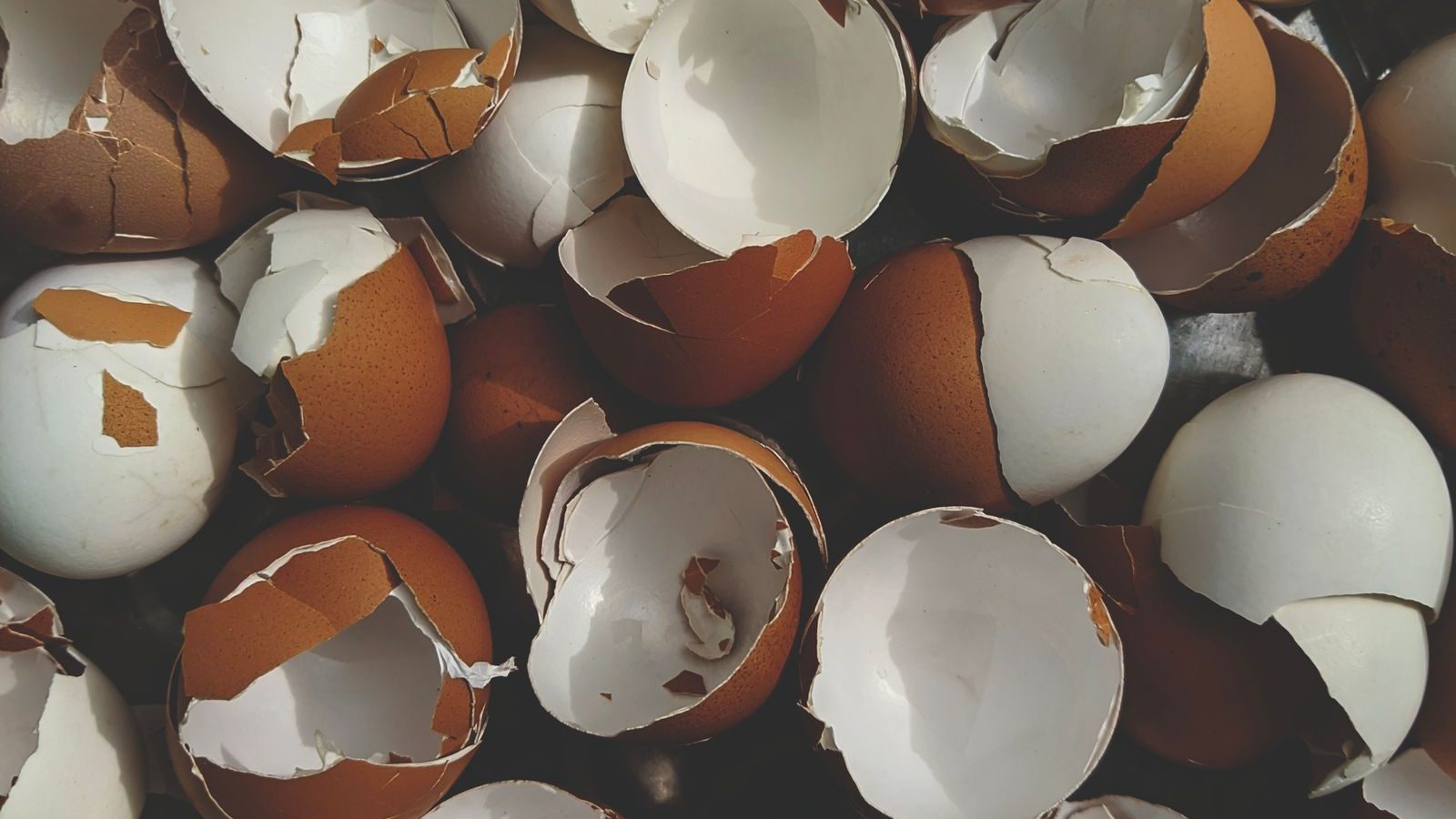 Using Finished Compost: A Realistic Starter Guide