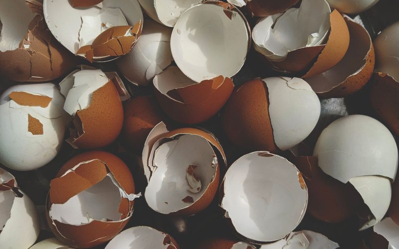 Using Finished Compost: A Realistic Starter Guide