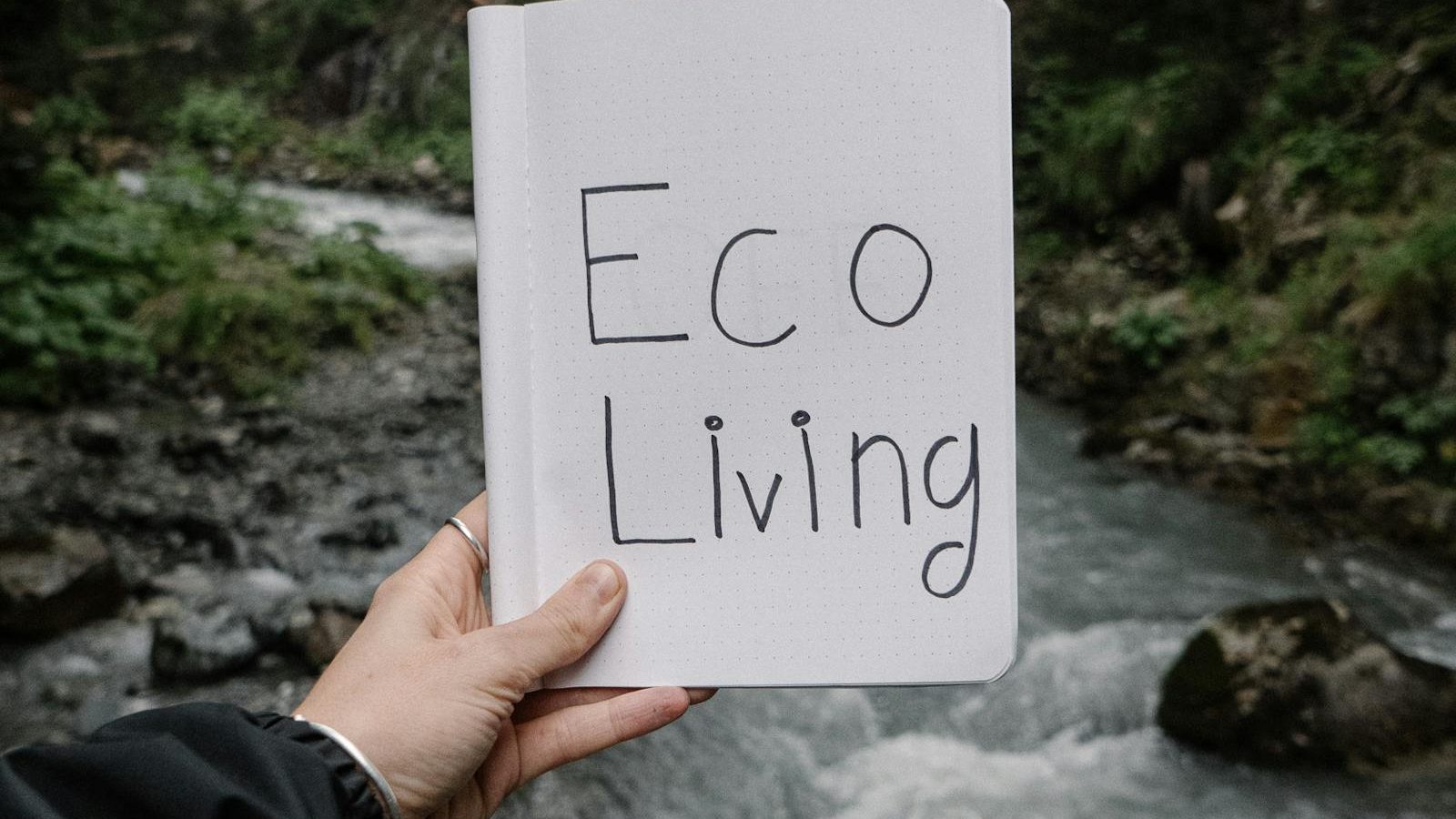 Composting Without a Garden: Where Your Scraps Can Go