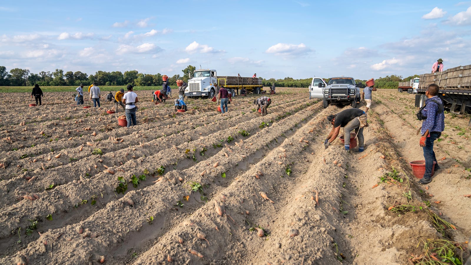 Shopping the Farmer’s Market Without Overspending